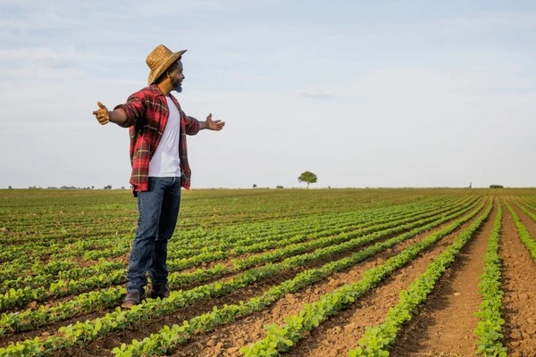 Sustainability & Conservation Programs