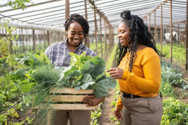 Support for Veterans, Women, Youth & Underserved Farmers